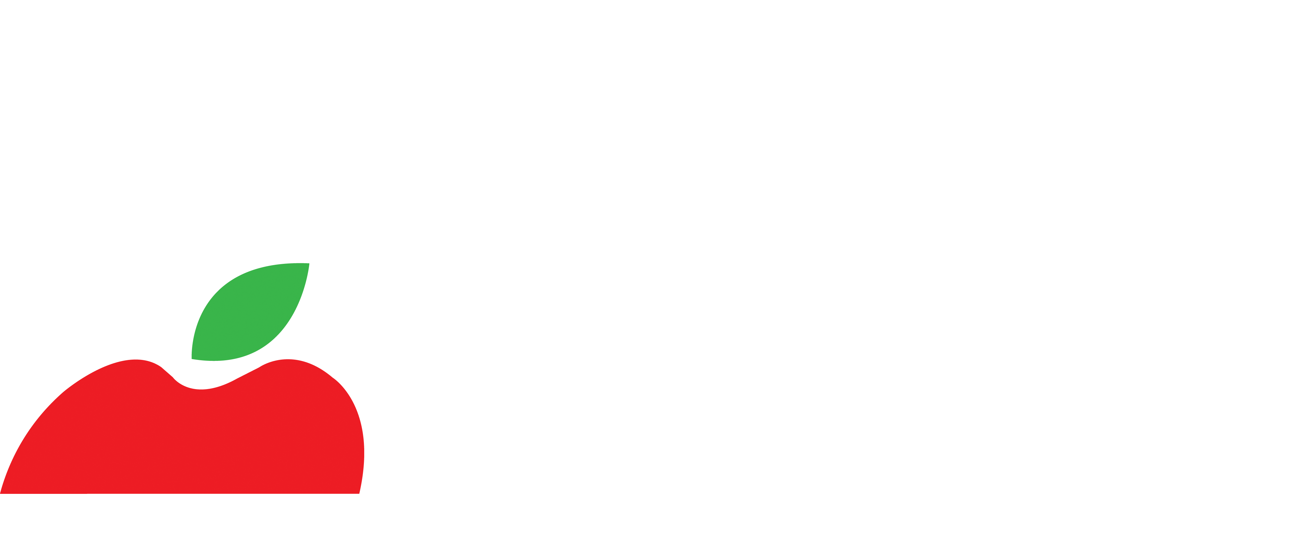 Studies Weekly Logo